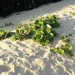 Strandhaus-susi Cuxhaven