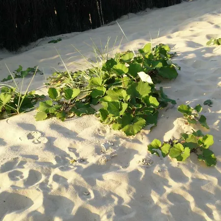 Strandhaus-susi Cuxhaven