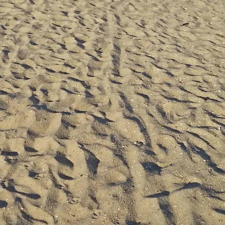 公寓 Strandhaus-susi 库克斯港